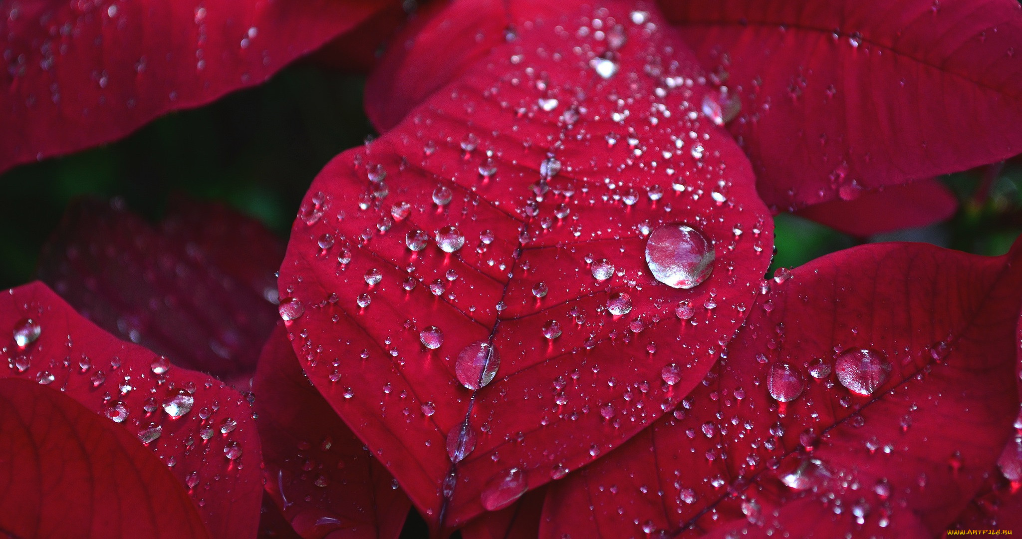 , , , , , 